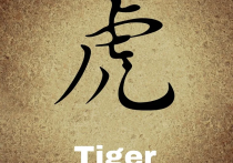 震惊！确权的商标权属人因字体侵权须赔款给字体权属公司？