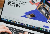独立站实战攻略！搭建、选品、引流一站式指南
