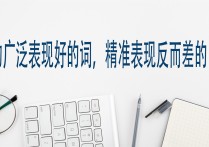 手动广泛表现好的词，精准表现反而差的内因