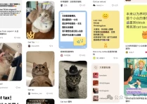 毛利率高品！这家小店靠售卖宠物防泥地垫在TikTok美国站卖出近300万美金！