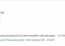 5分钟带你了解亚马逊关联流量和算法