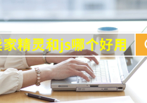 卖家精灵和js哪个好用
