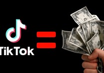 跨境卖家的流量密码：TikTok网红营销全攻略