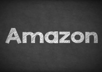 那些逃离亚马逊的中国卖家，都去哪里了？